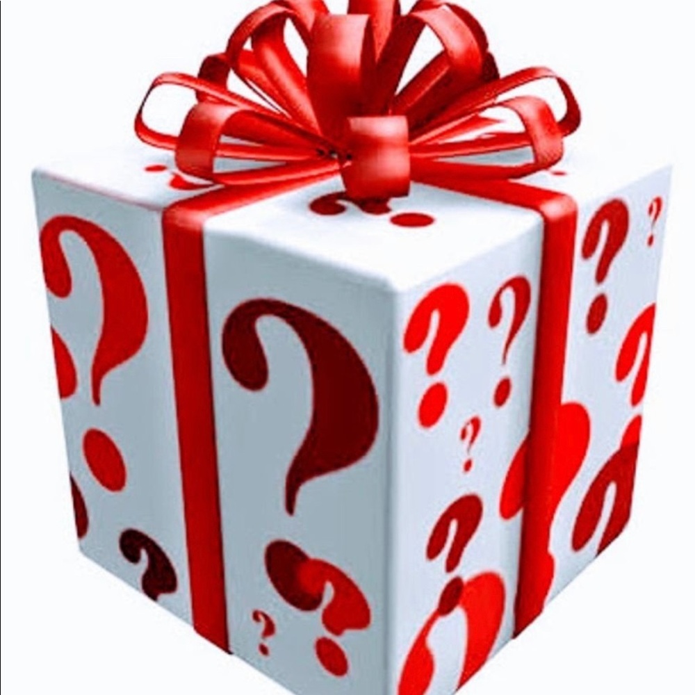 HUGE Mystery Box Bundle 12 Women’s Clothing & Jewelry Boutique Value $300! M